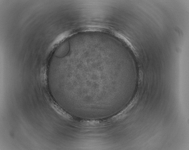 X0000111801403200908061148