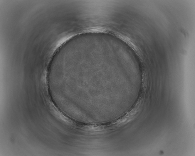 X0000111801404200908061148
