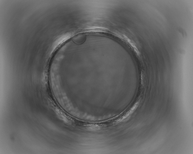 X0000111801405200908061148