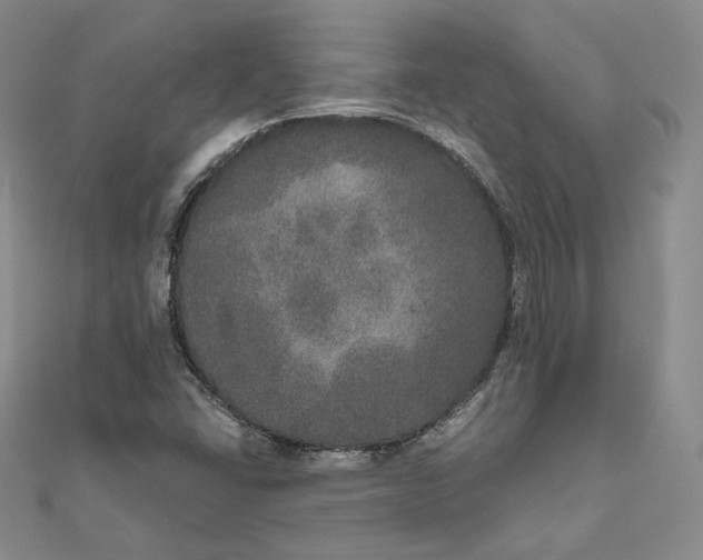 X0000111801406200908061148