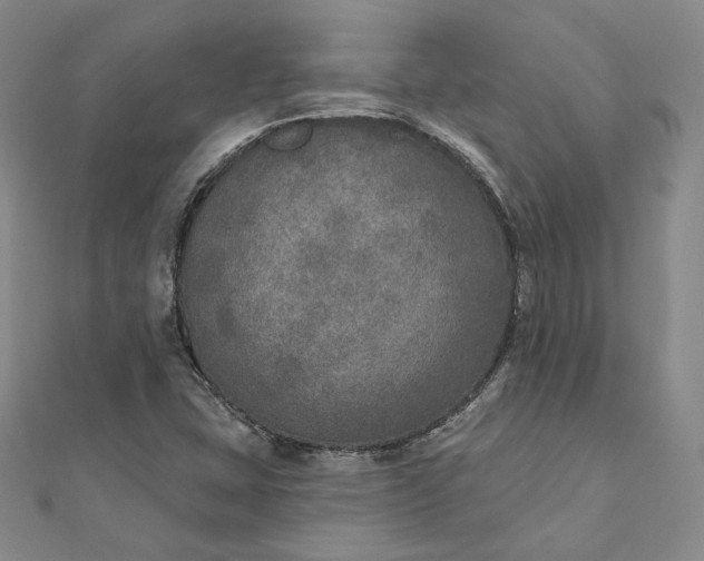 X0000111801407200908061148
