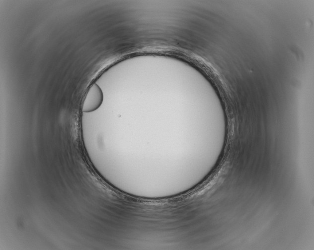 X0000111801409200908061148