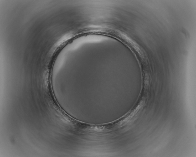 X0000111801411200908061148