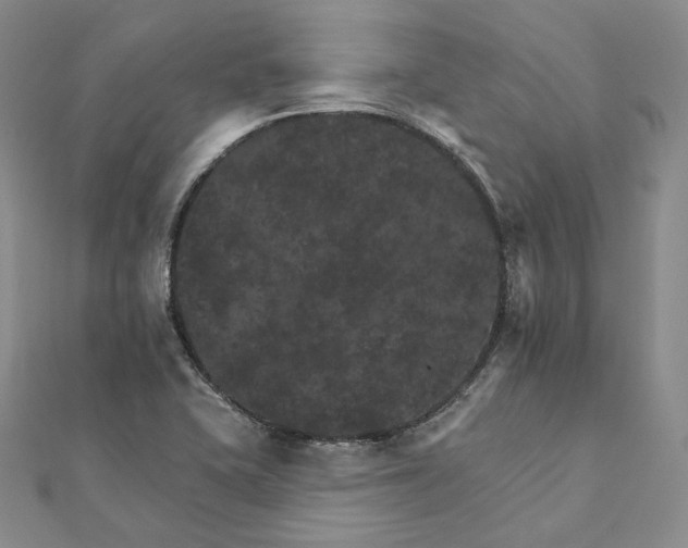 X0000111801415200908061148
