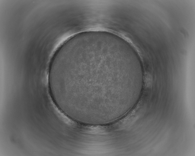 X0000111801416200908061148