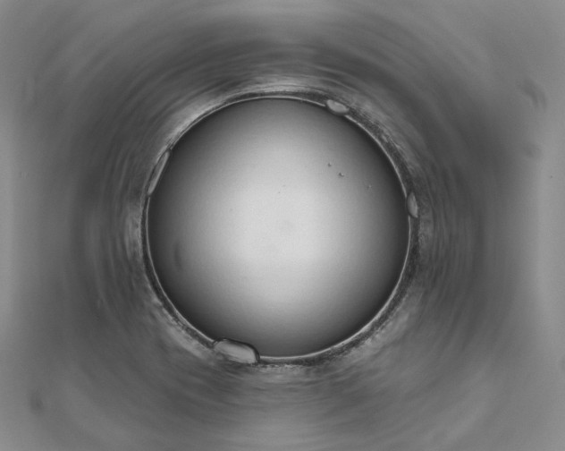 X0000111801417200908061148