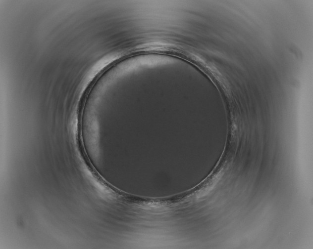 X0000111801418200908061148