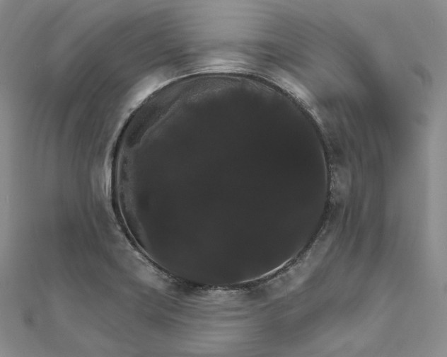 X0000111801419200908061148