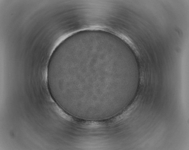 X0000111801420200908061148