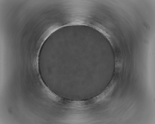 X0000111801423200908061148