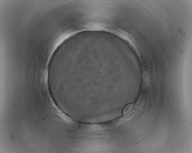 X0000111801424200908061148