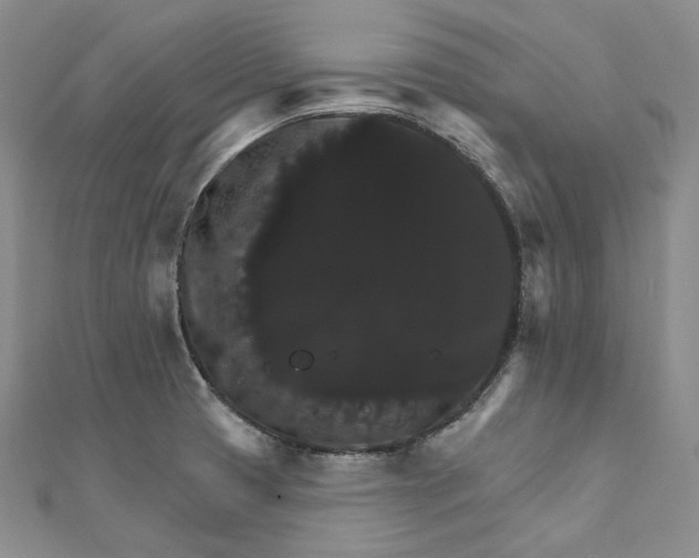 X0000111801425200908061148