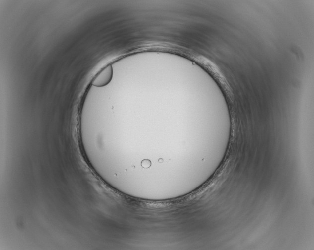 X0000111801427200908061148