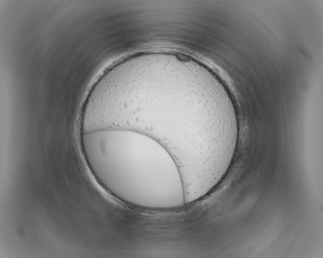 X0000111801429200908061148