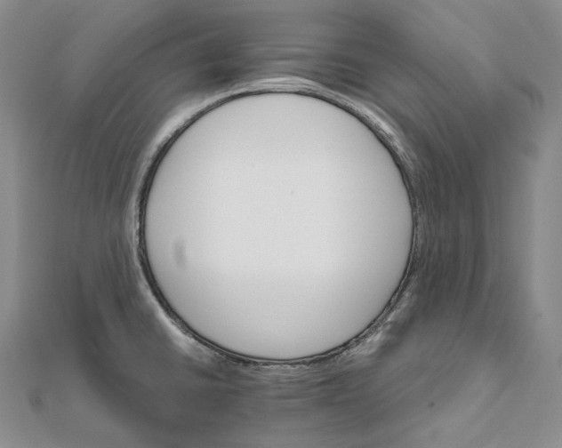 X0000111801430200908061148
