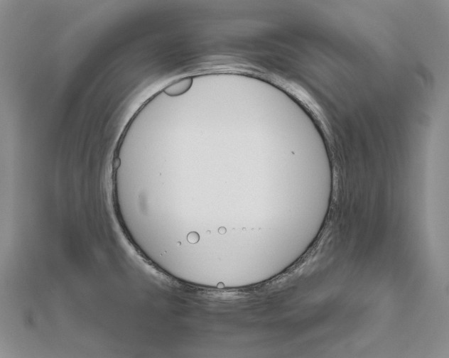 X0000111801431200908061148