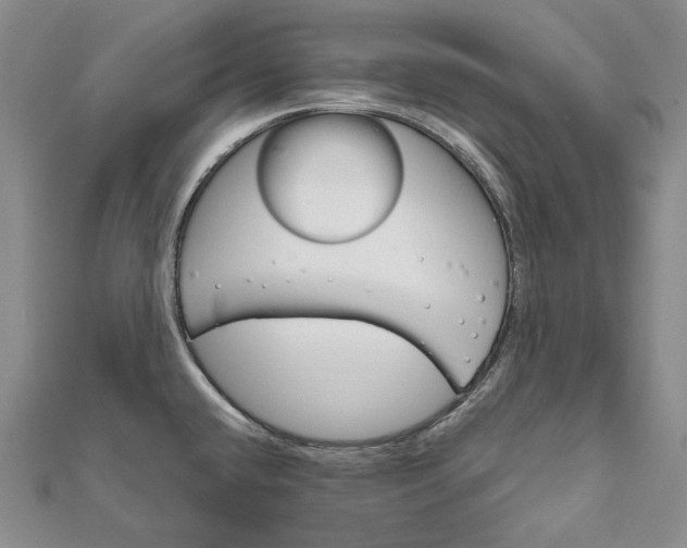 X0000111801432200908061148