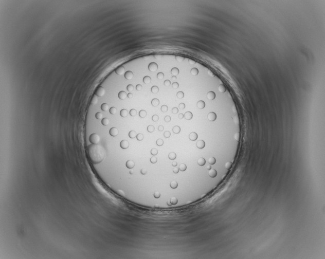 X0000111801433200908061148