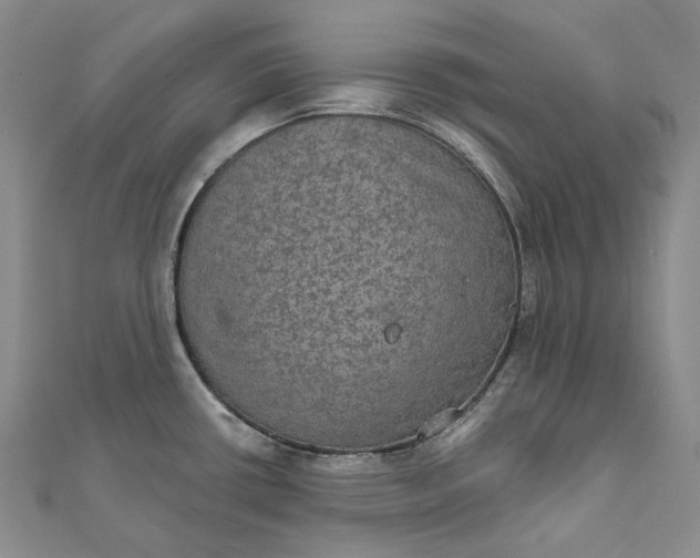 X0000111801434200908061148