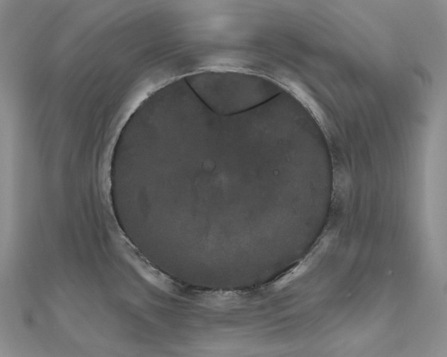 X0000111801435200908061148