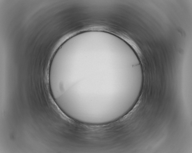 X0000111801436200908061148