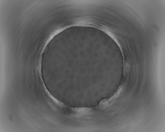 X0000111801437200908061148