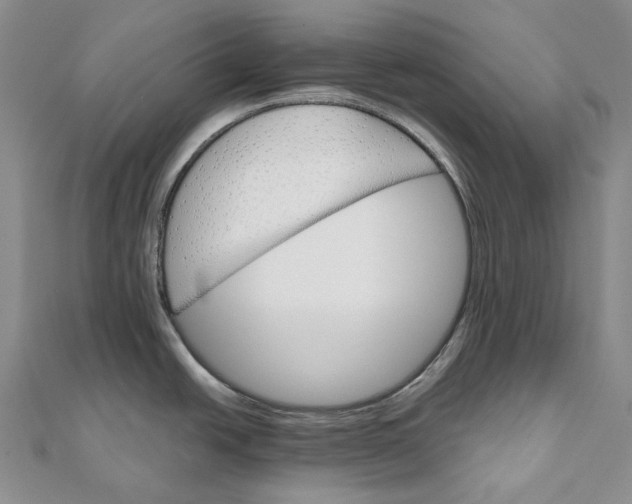 X0000111801438200908061148
