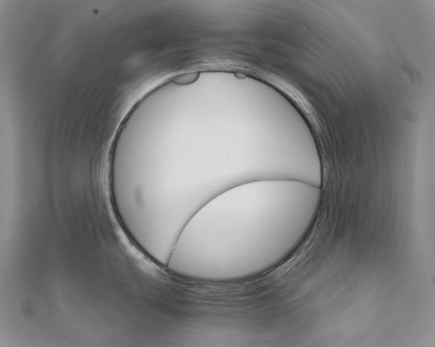 X0000111801439200908061148