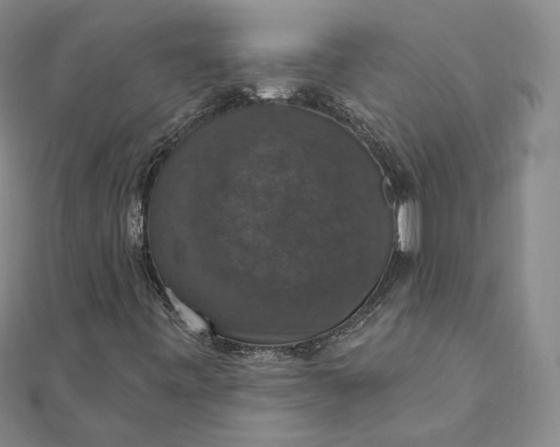 X0000111801443200908061148