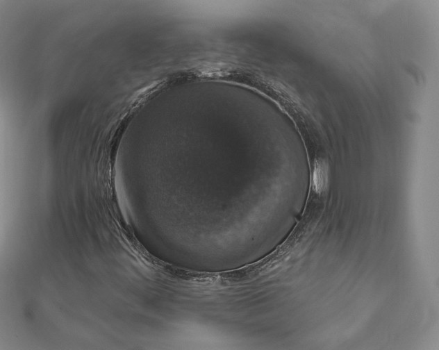 X0000111801444200908061148
