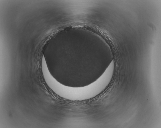 X0000111801445200908061148