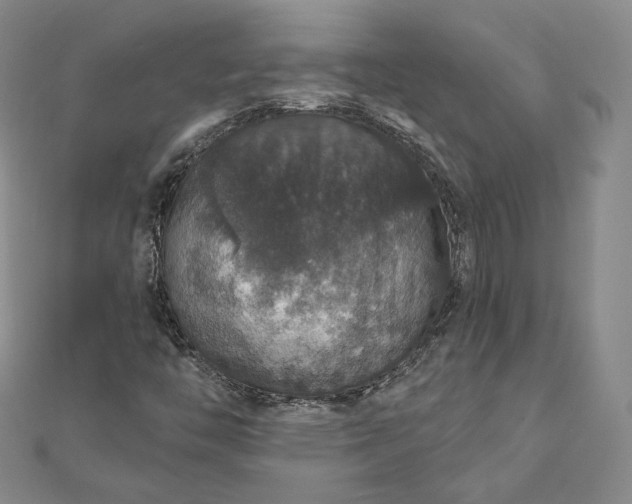 X0000111801446200908061148