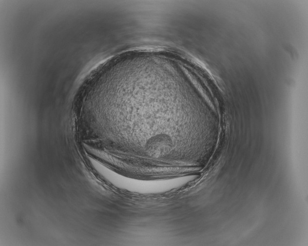 X0000111801448200908061148