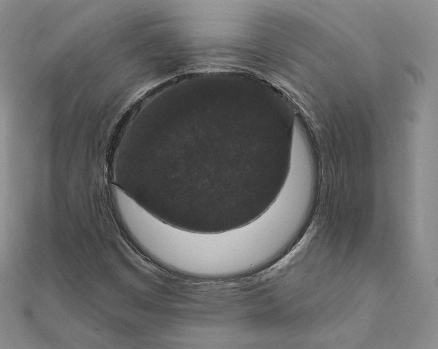 X0000111801449200908061148