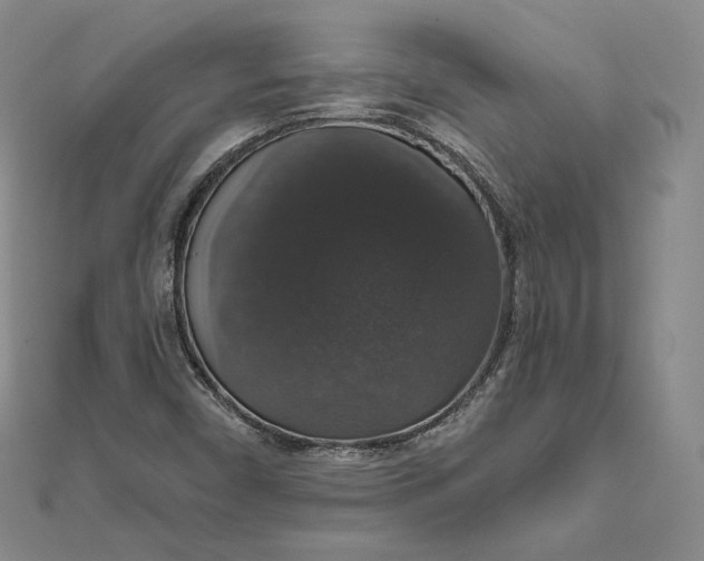 X0000111801450200908061148