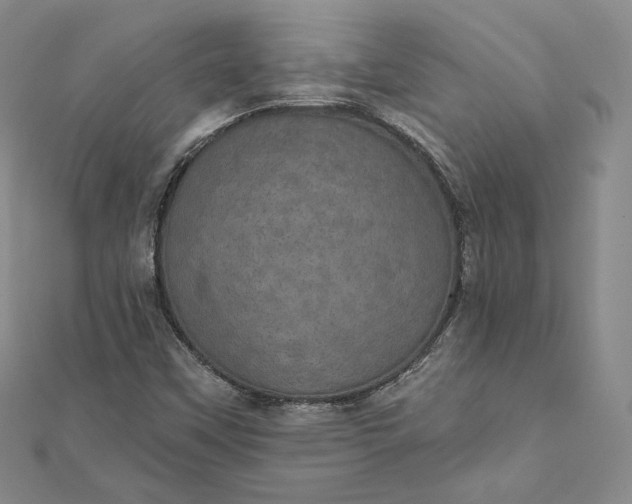 X0000111801451200908061148