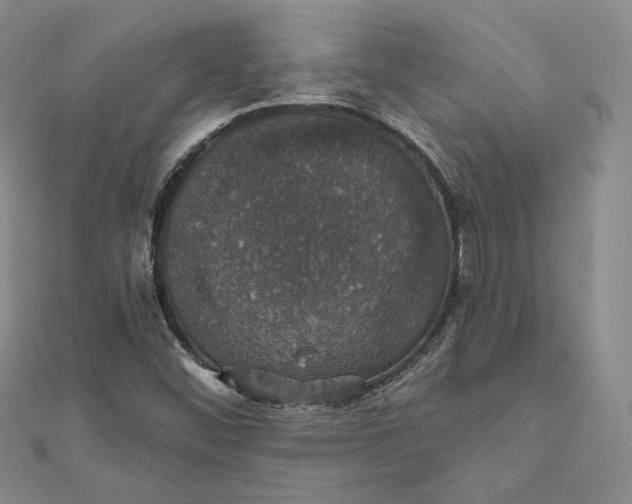 X0000111801452200908061148
