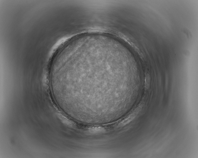 X0000111801454200908061148