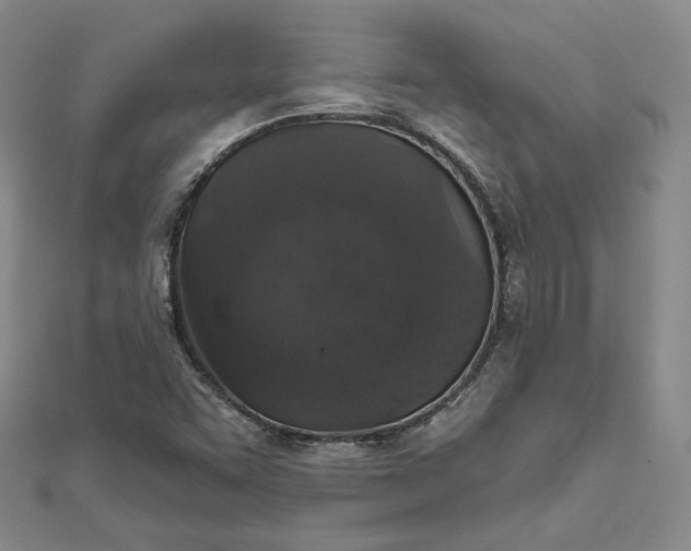 X0000111801455200908061148