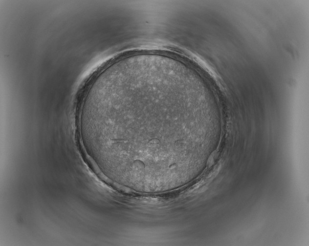 X0000111801456200908061148