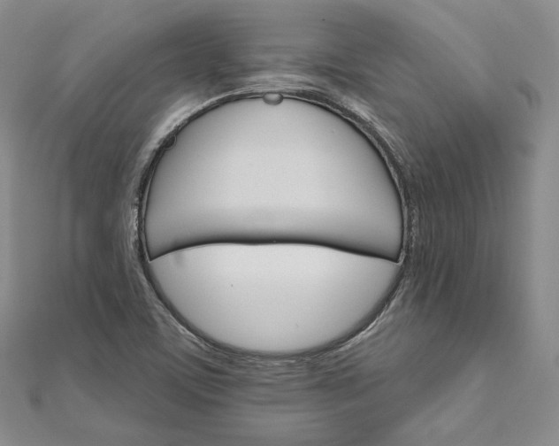 X0000111801459200908061147