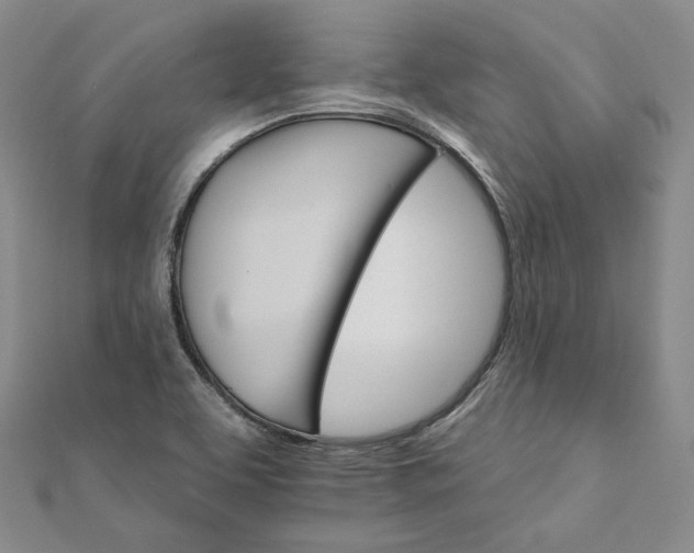 X0000111801463200908061147