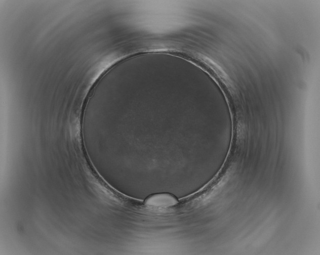 X0000111801465200908061147