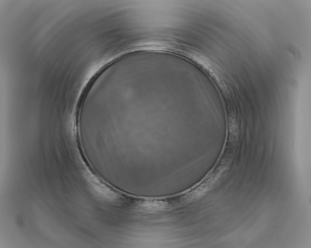 X0000111801466200908061147