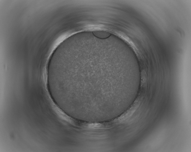 X0000111801467200908061147