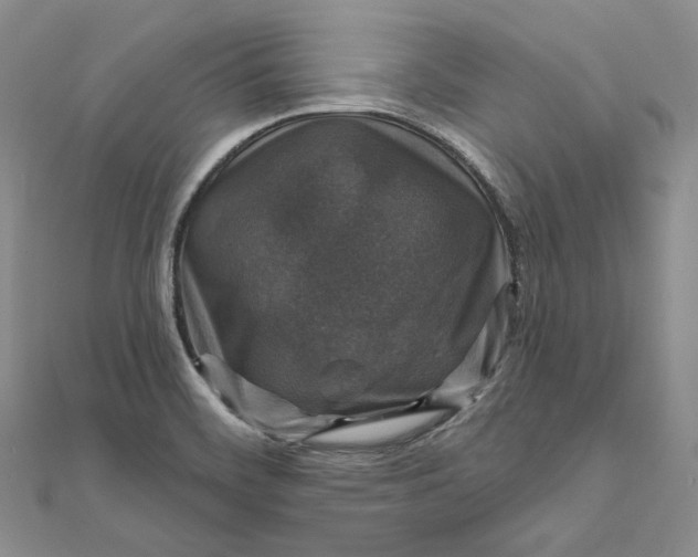 X0000111801468200908061147