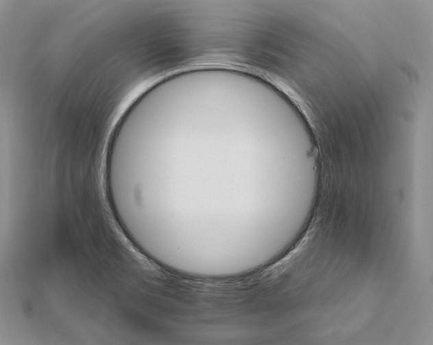 X0000111801469200908061147