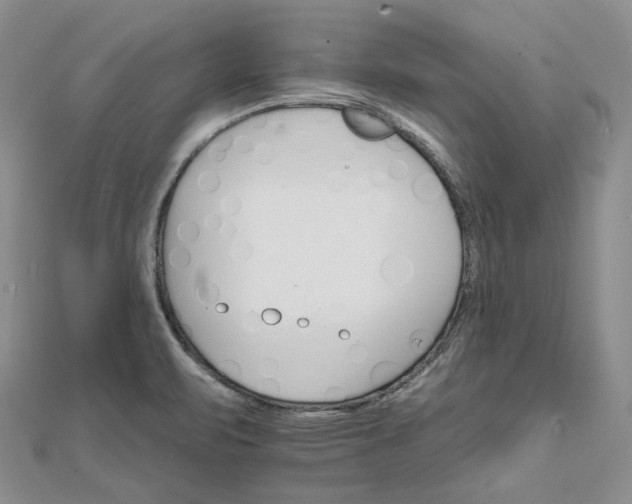 X0000111801471200908061147
