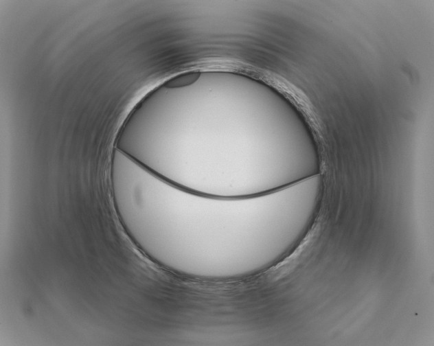 X0000111801473200908061147
