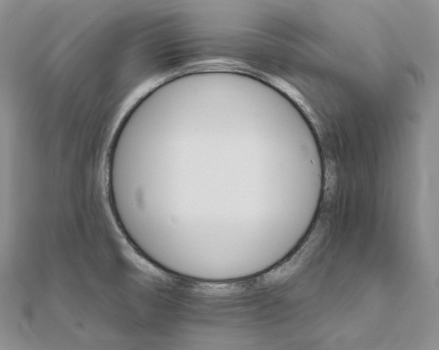 X0000111801474200908061147